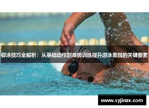 仰泳技巧全解析：从基础动作到高级训练提升游泳表现的关键要素